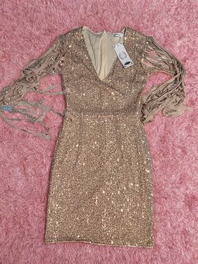 Sequin Fringe-Sleeve Cocktail Dress - Rose Gold